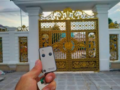 Remote Roger 2 nút
